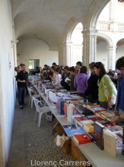 0005 vertical.jpg, 36 KB