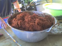 09-12-07_1226.jpg, 45 KB