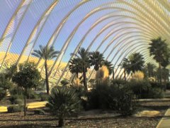 25-11-07_1232.jpg, 71 KB