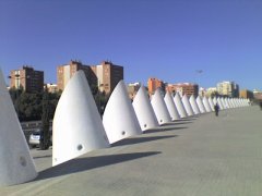 25-11-07_1237.jpg, 37 KB