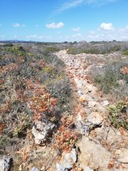 78235-003.jpg, 106 KB