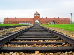 Auschwitz-birkenau-main_track.jpg, 68 KB