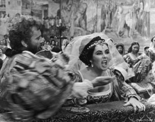 The taming of the shrew.jpg, 63 KB