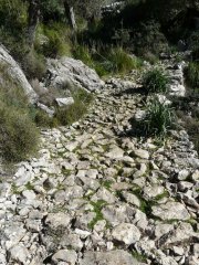 cami de pedra001.jpg, 131 KB