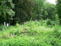 cementiri bohemi.jpg, 146 KB