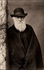 charles_darwin.jpg, 58 KB