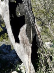 escorca003.jpg, 107 KB