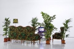 mateo mate.jpg, 50 KB